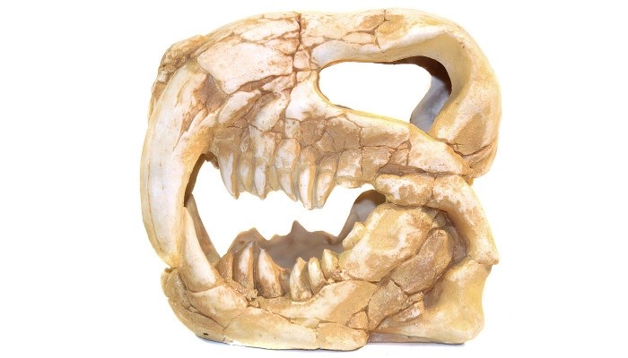 Deksi грот "Динозавр" №1002 (20x10x19 см) DEK-1002 - фото 25066