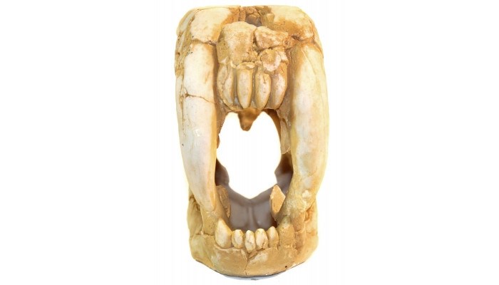 Deksi грот "Динозавр" №1002 (20x10x19 см) DEK-1002 - фото 25067