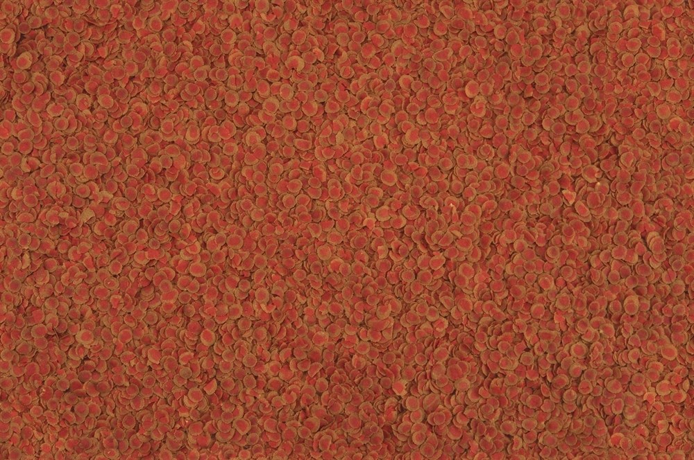 Tetra PRO Colour crisps 5 г (пакетик) - корм для улучшения окраски - пробник, в подарок с определенными видами корма Tetra T709886 - фото 25202