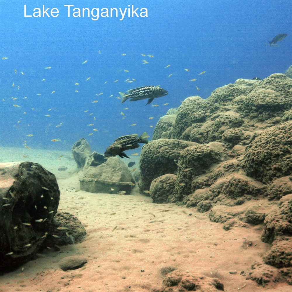 JBL Aquadur Malawi/Tanganjika 250 г - Набор минеральных солей для восточно-африканских цихлид 282.2490300 - фото 25427