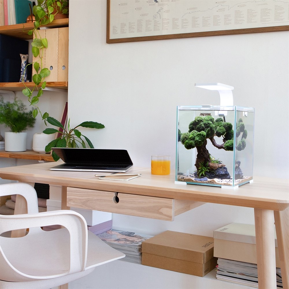 AQUAEL Shrimp set Smart LED Day/Night 19 л - аквариум с набором оборудования, черный 122978 - фото 25578