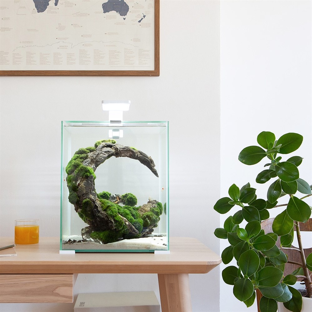 AQUAEL Shrimp set Smart LED Day/Night 10 л - аквариум с набором оборудования, белый 122977 - фото 26056