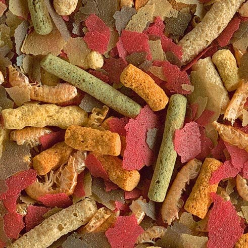 Tetra Pond MultiMix корм для прудовых рыб (гранулы, хлопья, таблетки, гаммарус) 4 л 170285 - фото 26201