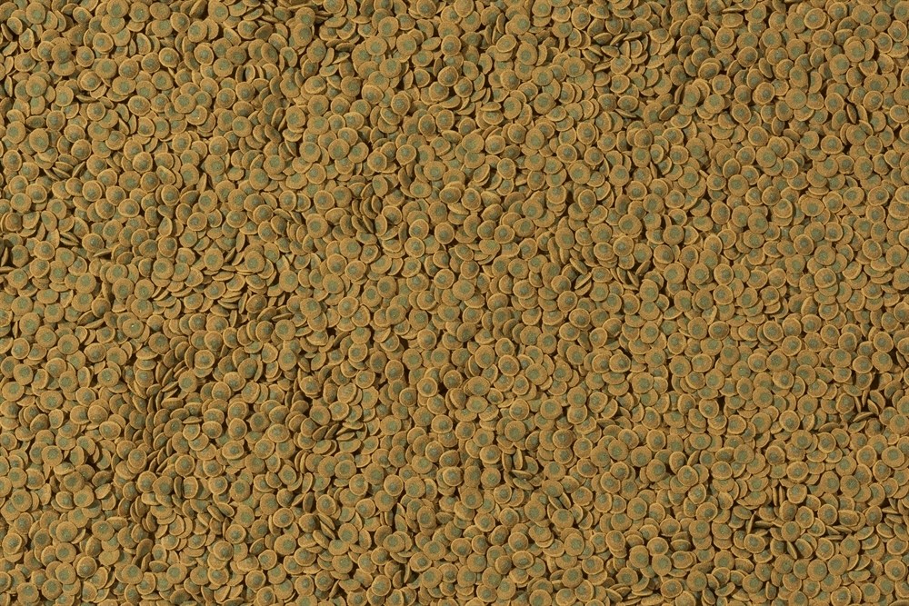 Tetra Pleco Veggie Wafers 3.6 л - корм для травоядных донных рыб Tet-281882 - фото 26290