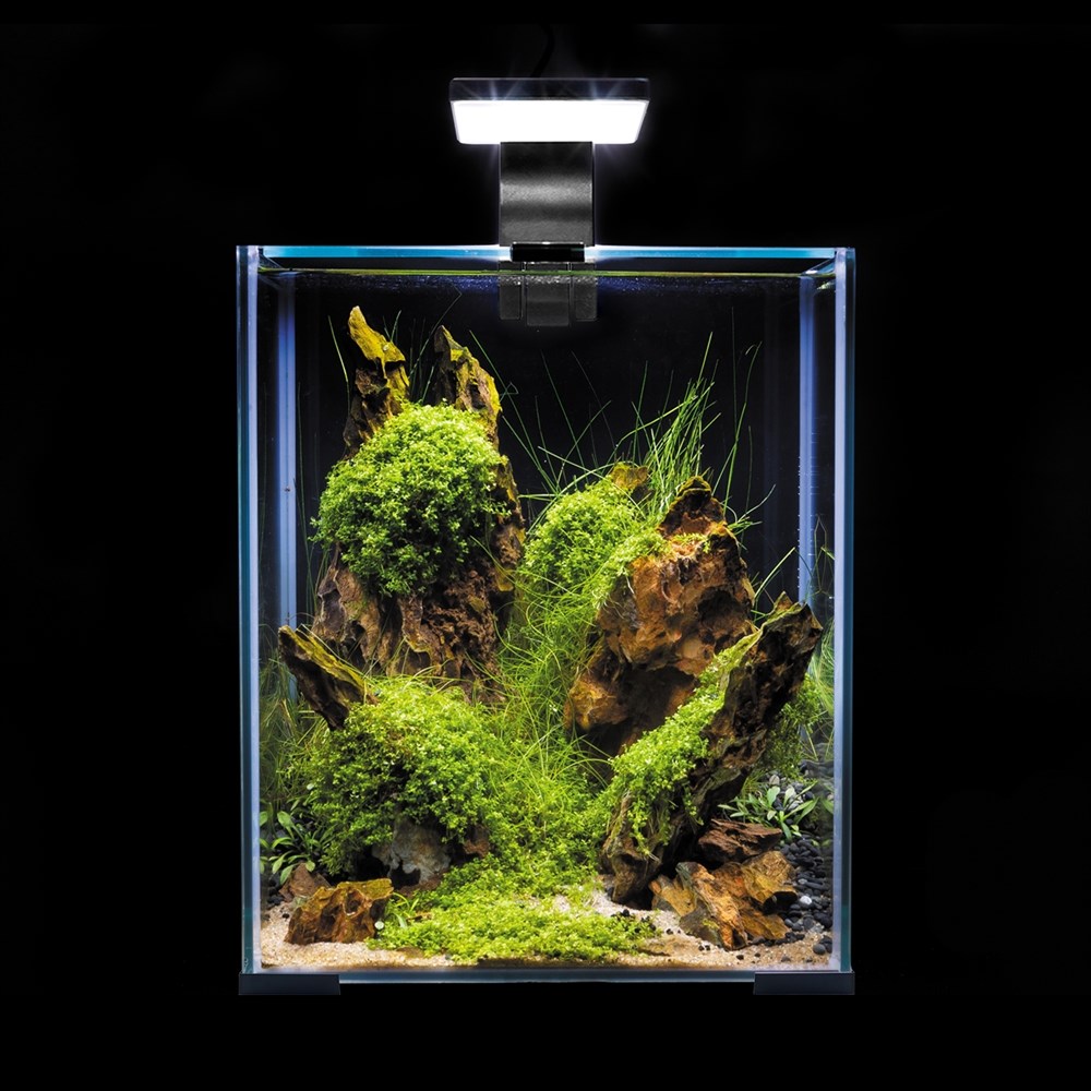 AQUAEL Leddy Smart Sunny Day&Night 4,8 Вт светильник с креплением, черный 124226 - фото 26446