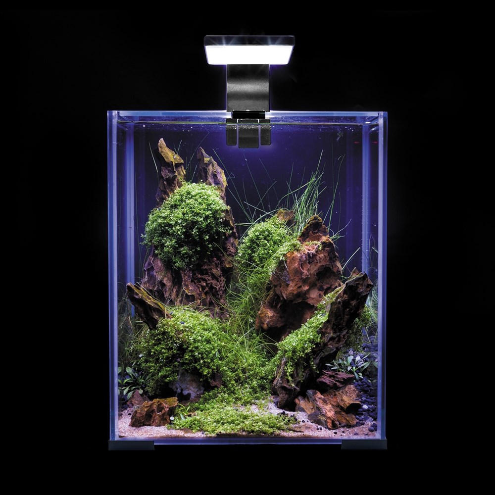 AQUAEL Leddy Smart Sunny Day&Night 4,8 Вт светильник с креплением, черный 124226 - фото 26447