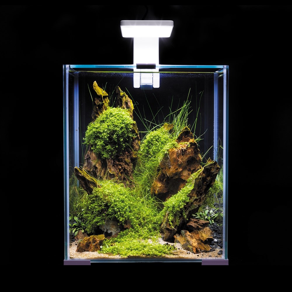 AQUAEL Leddy Smart Sunny Day&Night 4,8 Вт светильник с креплением, белый 124225 - фото 26461