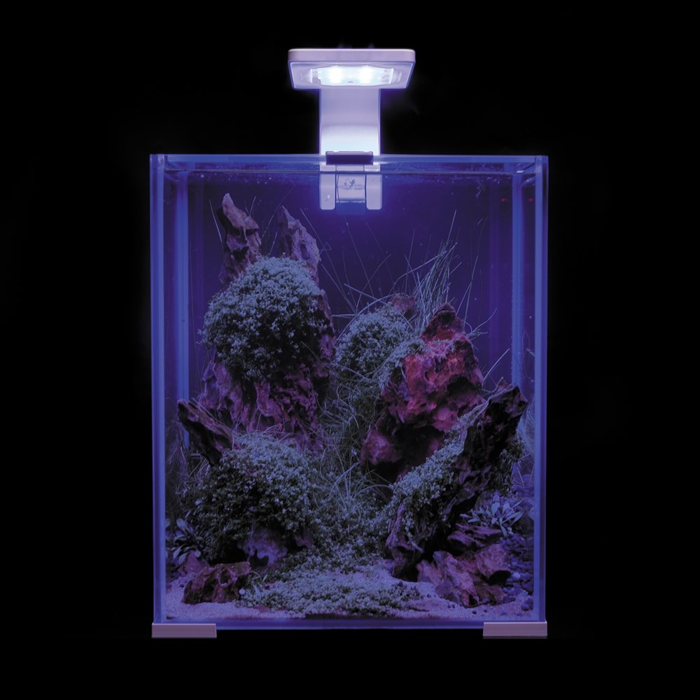 AQUAEL Leddy Smart Sunny Day&Night 4,8 Вт светильник с креплением, белый 124225 - фото 26463