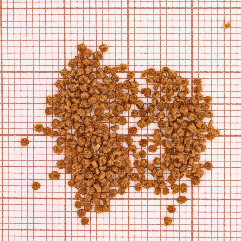 JBL Grana CLICK 250 мл. (110 г.) - Основной корм класса премиум в форме гранул для небольших рыбв банке с дозатором 282.4064700 - фото 26604