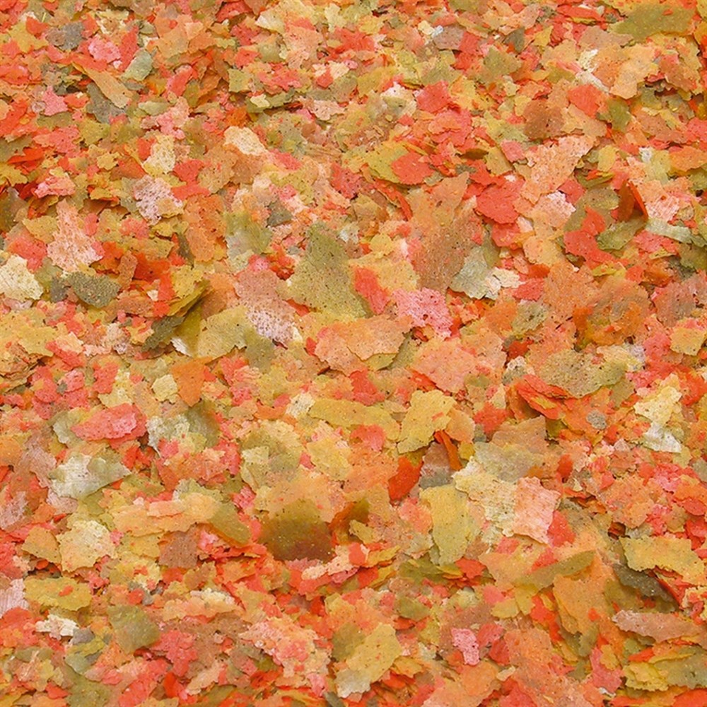 JBL NovoBel 12г (пакетик) - Основной корм в форме хлопьев для всех аквариумных рыб 282.3011958 - фото 26635