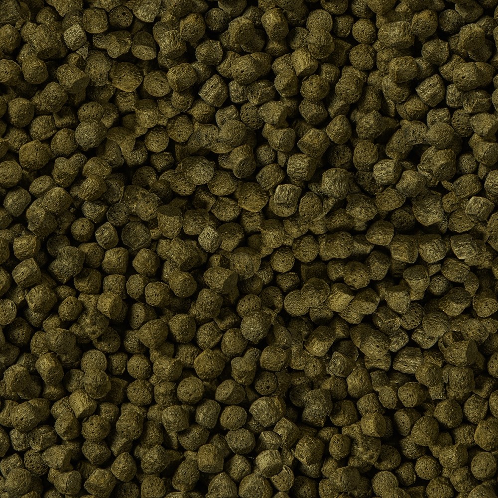 sera KOI Color Nature large 3,8 л (гранулы - 6 мм) - корм для улучшения окраски карпов Кои S7025 - фото 27099