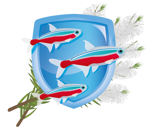 Естественная защита масла чайного дерева для жителей аквариума