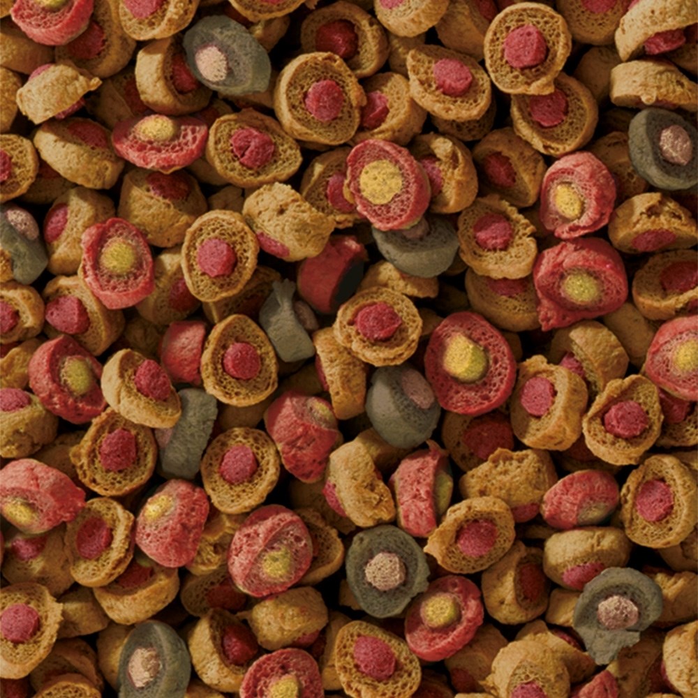 Sera Koi All Seasons Probiotic 500г - всесезонный корм для прудовых рыб с пробиотиками S32097 - фото 27470