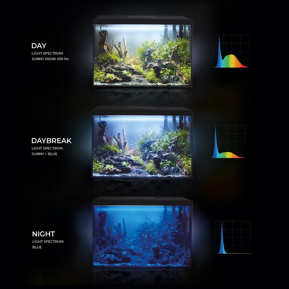 AQUAEL LEDDY XL Day & Night 40 (35л) - аквариум с набором оборудования 124281 - фото 27753