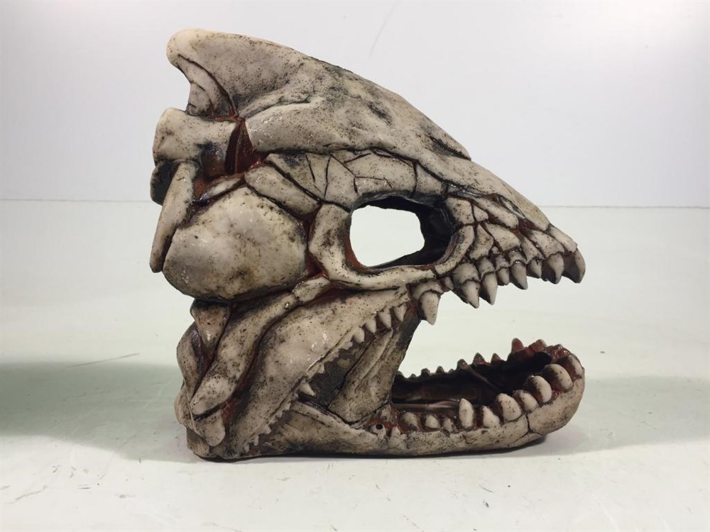 Deksi - Скелет рыбы №902 - 20.5х18.5х9 см 902d - фото 27803