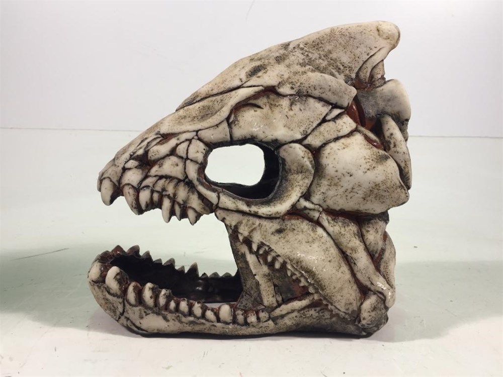 Deksi - Скелет рыбы №902 - 20.5х18.5х9 см 902d - фото 27804