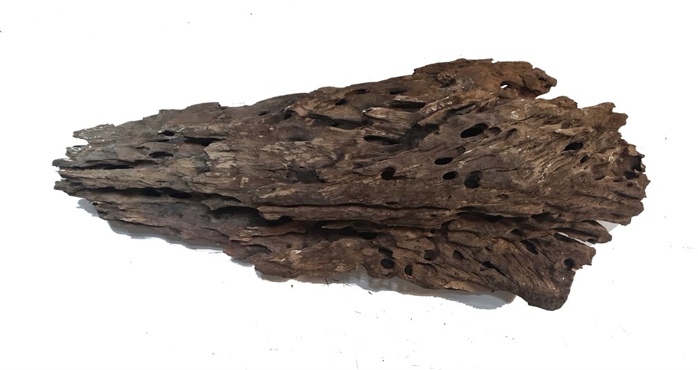 PRIME - декорация природная коряга Дракон L 30-40 см PR-080201 - фото 28039