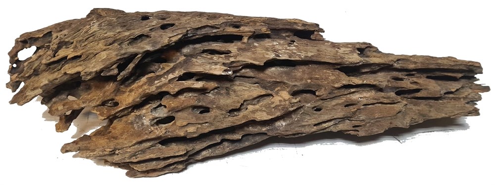 PRIME - декорация природная коряга Дракон L 30-40 см PR-080201 - фото 28041