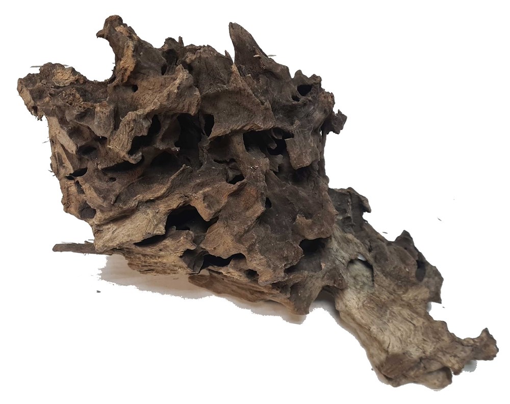 PRIME - декорация природная коряга Дракон L 30-40 см PR-080201 - фото 28043