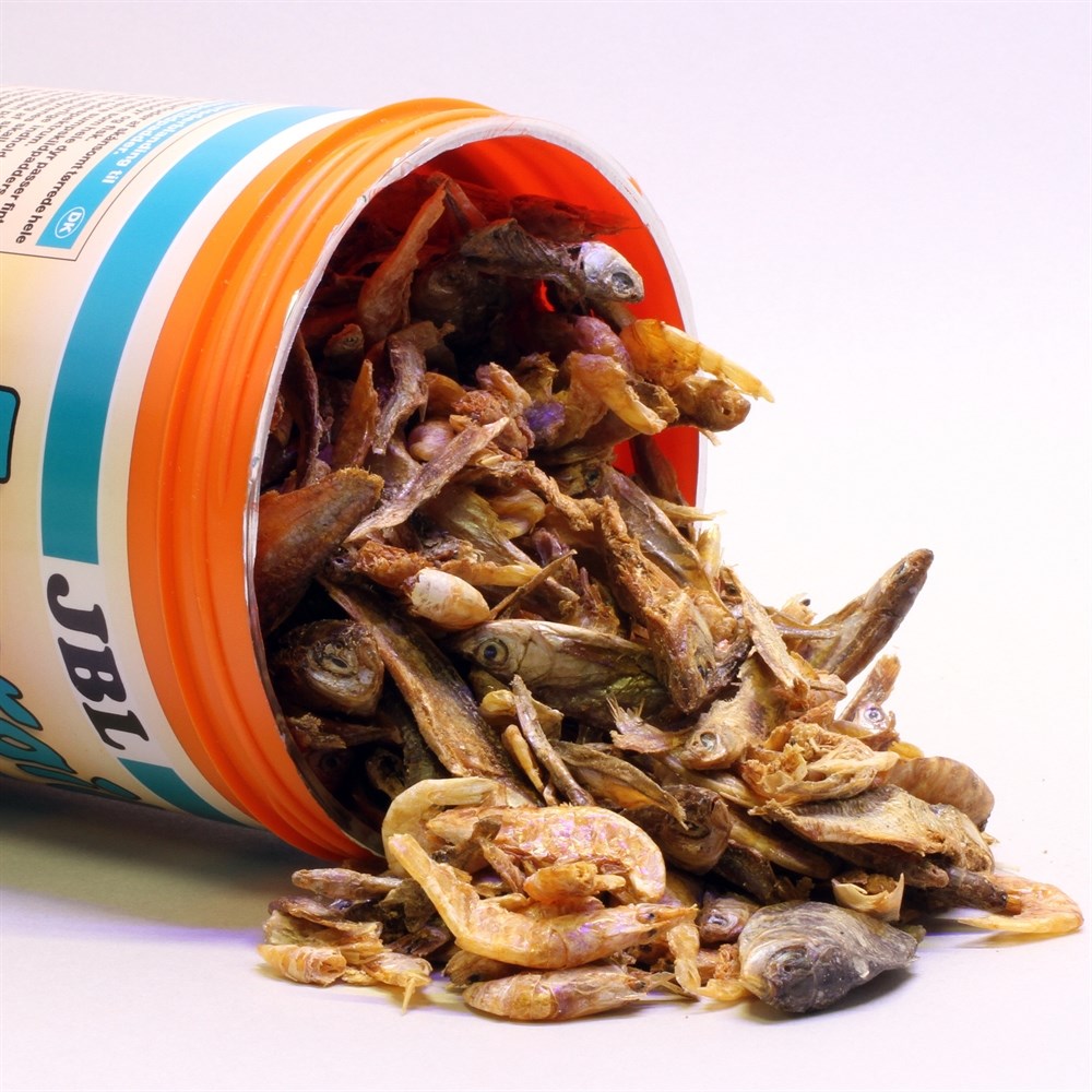 JBL Energil 2,5 л (430 г) - Корм из целиком высушенных рыб и рачков для крупных водных черепах 282.7031400 - фото 28894