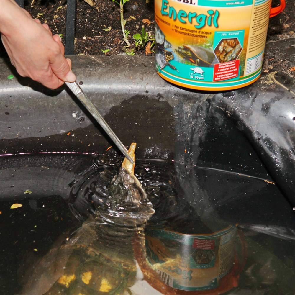 JBL Energil 2,5 л (430 г) - Корм из целиком высушенных рыб и рачков для крупных водных черепах 282.7031400 - фото 28895