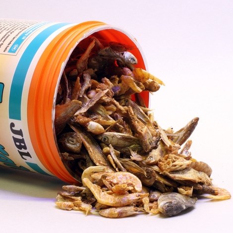 JBL Energil 1 л (150 г) - Корм из целиком высушенных рыб и рачков для крупных водных черепах 282.7031300 - фото 28897