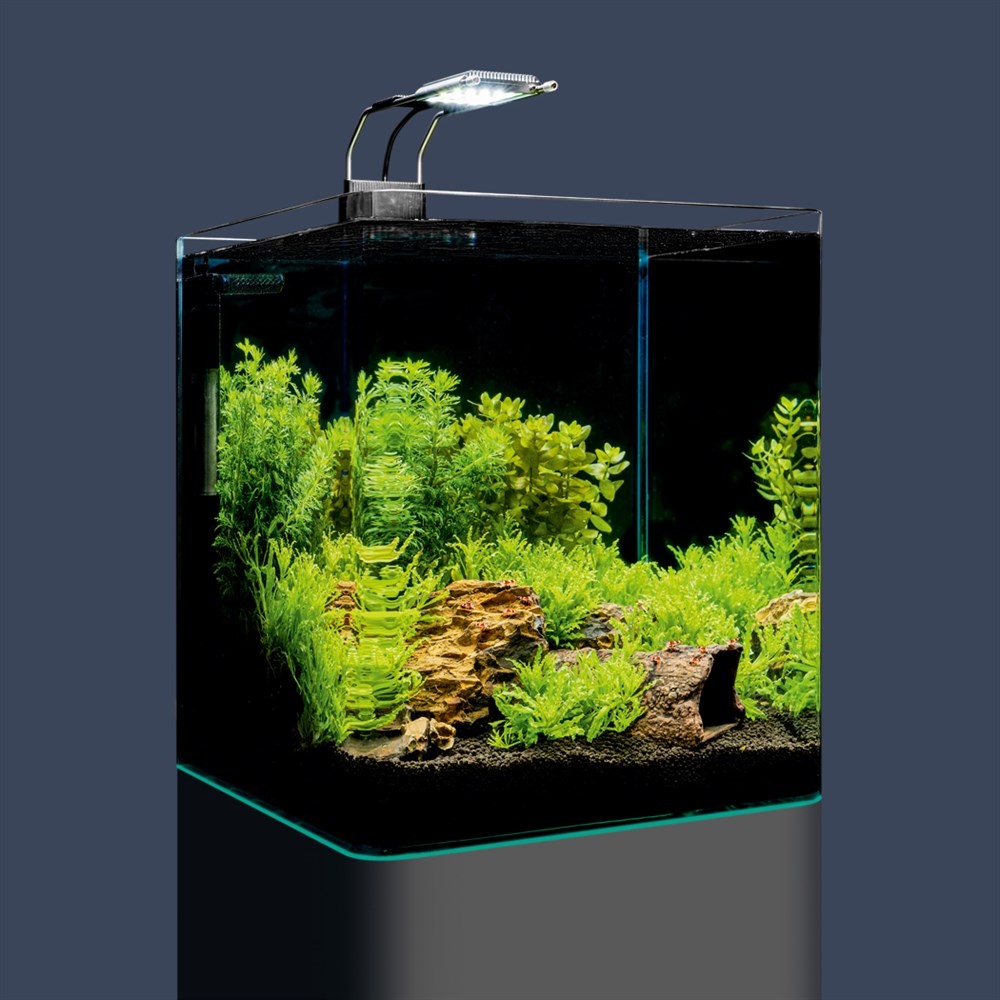 Dennerle Nano Cube Complete Soil 30 литров (в комплекте фильтр, светильник Trocal Power LED 5.0, сойл и термометр), передние углы скруглённые (передняя и боковые стенки из единого стекла) Den-5587 - фото 28937