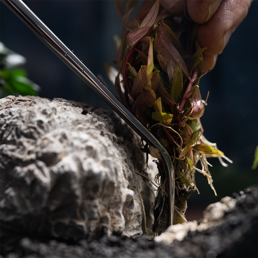 Dennerle пинцет для посадки водных растений с загнутым кончиком 30см Den-2875 - фото 29195