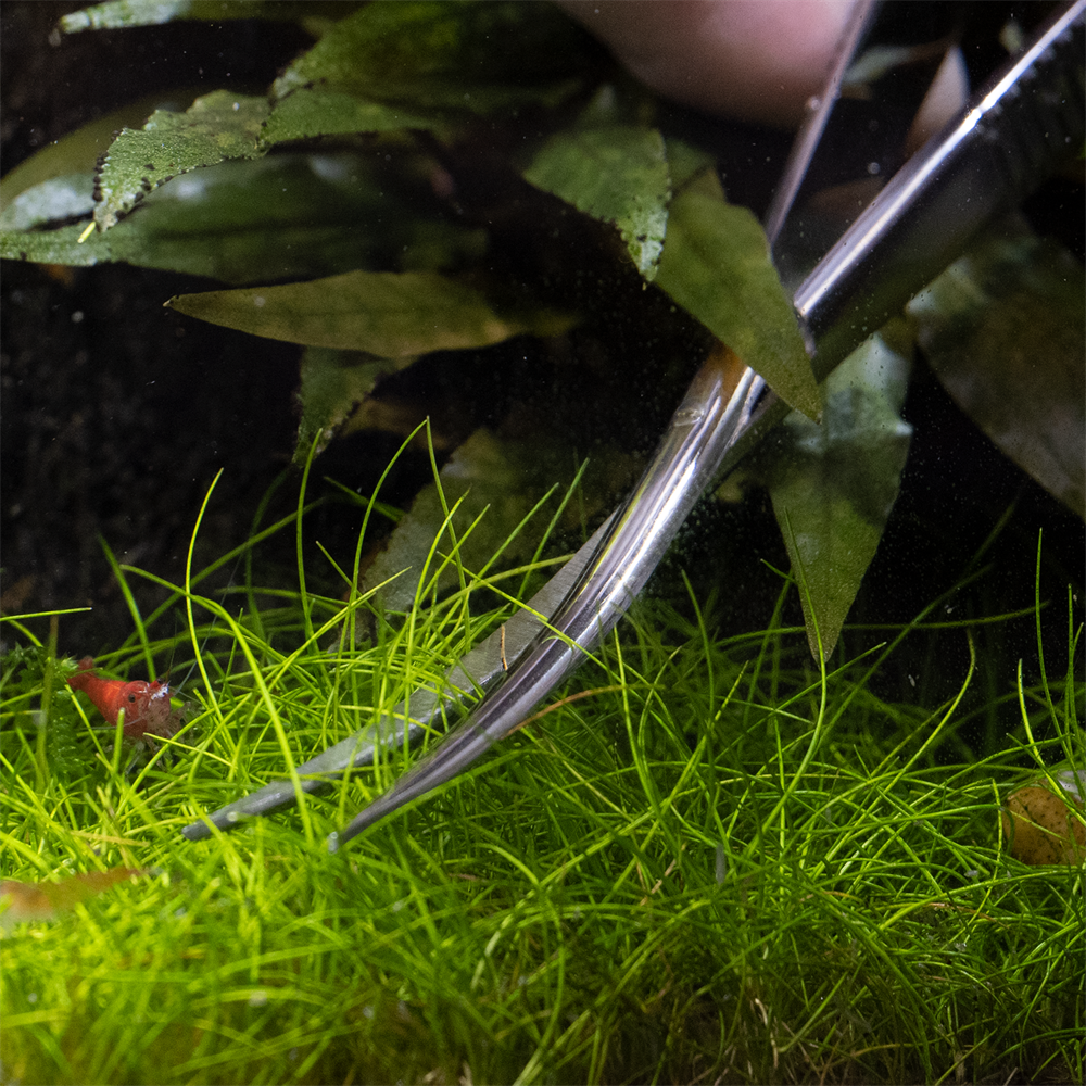 Dennerle ножницы для формирования растений пружинные 15см Den-2877 - фото 29205