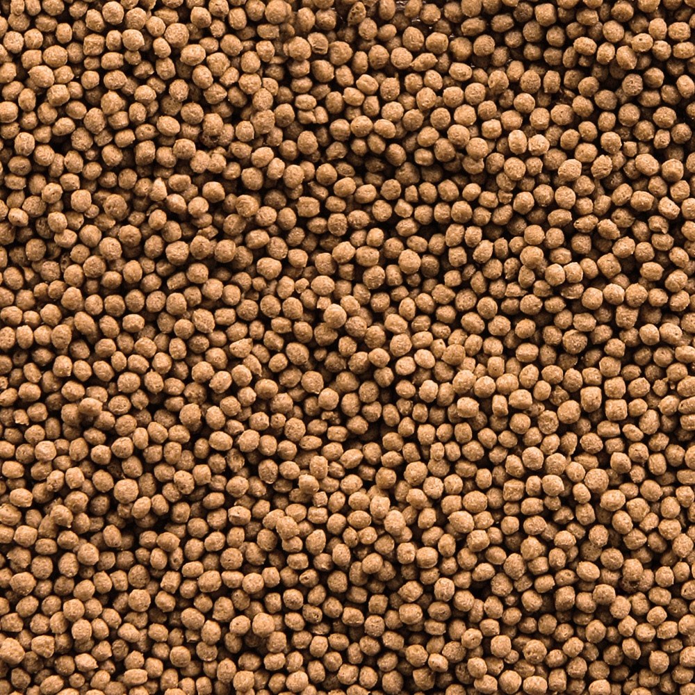 sera KOI Royal mini Nature 3,8 л (гранулы - 2 мм) - корм для молодых карпов Кои S7112 - фото 29326