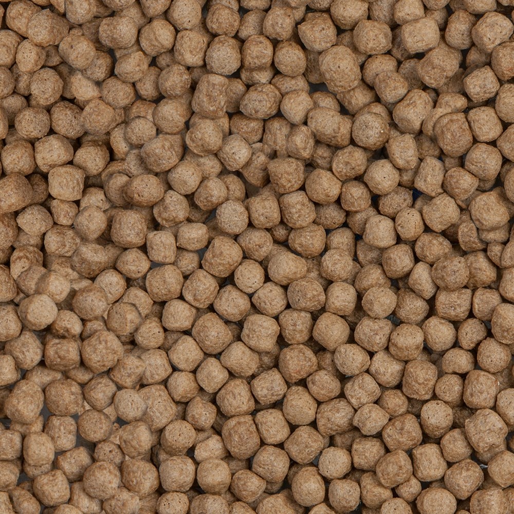 sera KOI Royal large Nature 21 л (гранулы - 6 мм) - корм для крупных карпов Кои S7130 - фото 29335