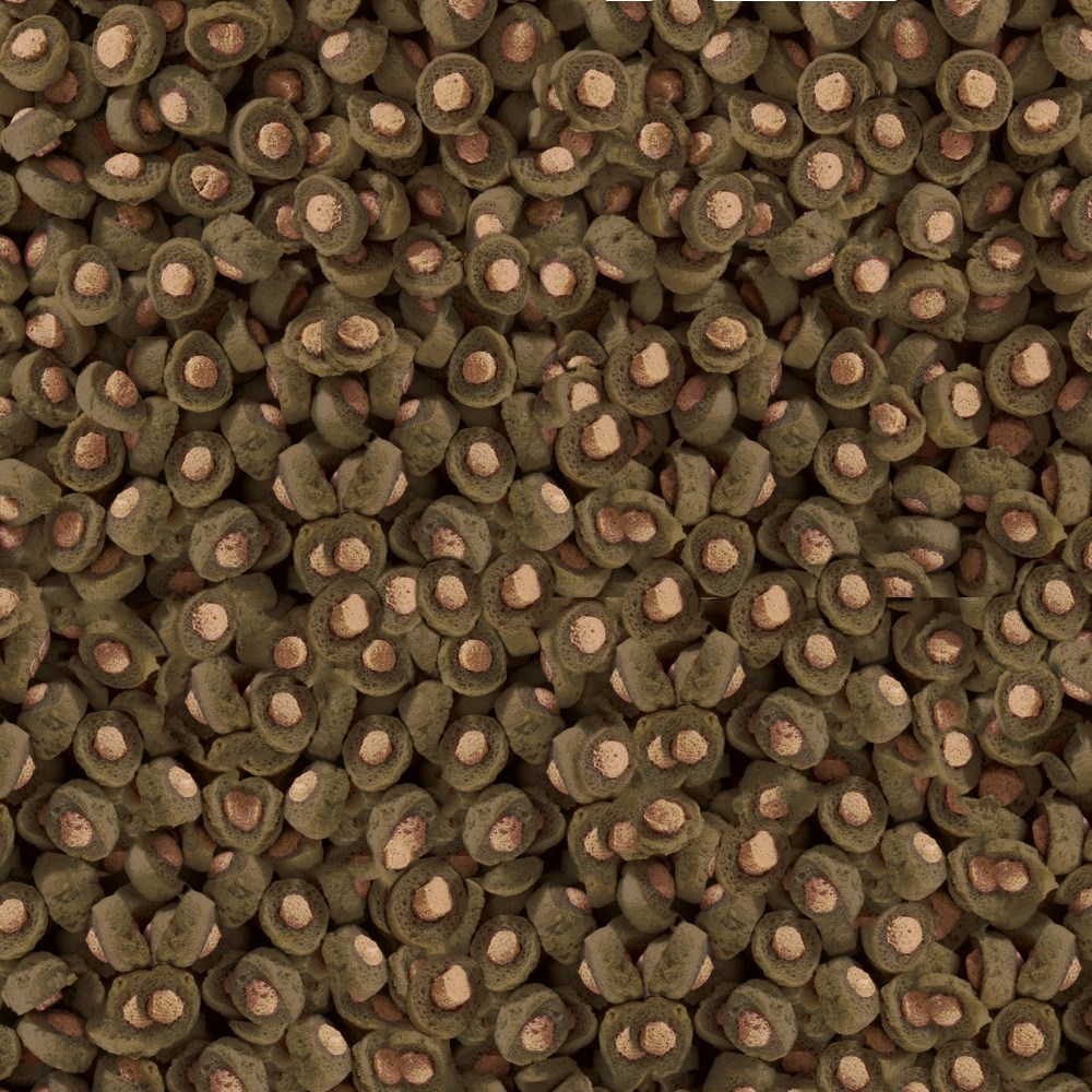 sera KOI Professional Spirulina Color 500 г - корм для карпов Кои S7031 - фото 29338