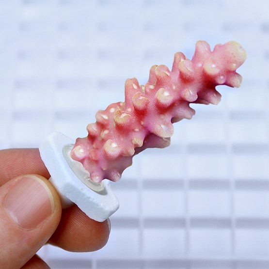 Пример использования