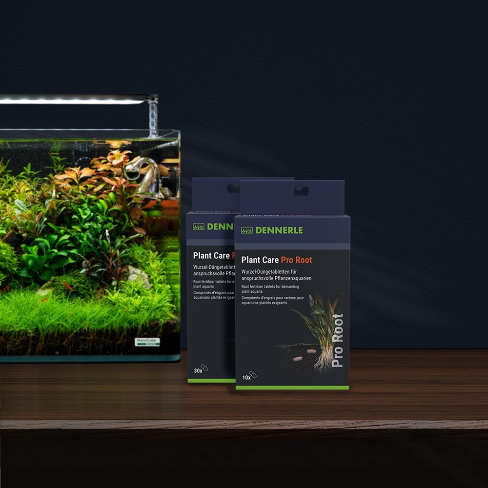 Dennerle Plant Care Pro Root 30 таблеток - добавка профессиональная грунтовая Den-4820 - фото 29802