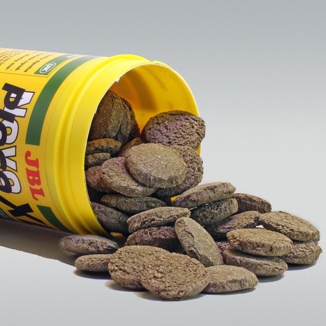 JBL NovoPleco XL 250 мл. (125 г.) - Водорослевые чипсы экстра-большого размера с примесью целлюлозы для кольчужных сомов 282.3034100 - фото 30137