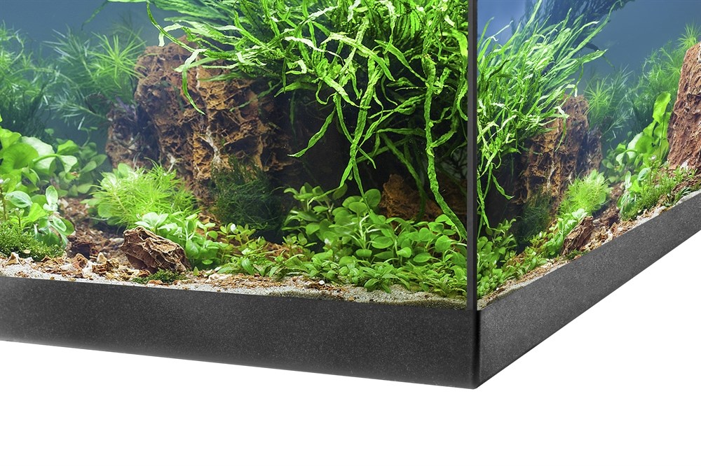 Нижняя рамка делает внешний вид аквариума более аккуратным