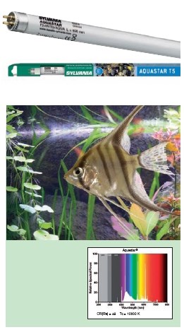 Sylvania AquaStar 39 Вт (Т5) - 84.9 см - люминесцентная лампа SL-0002753 - фото 30527