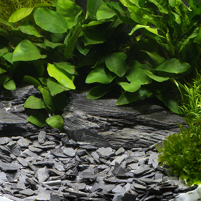 Dennerle Kongo 10-30 мм - грунт природный  (серый), 500 г Den-3246 - фото 30888