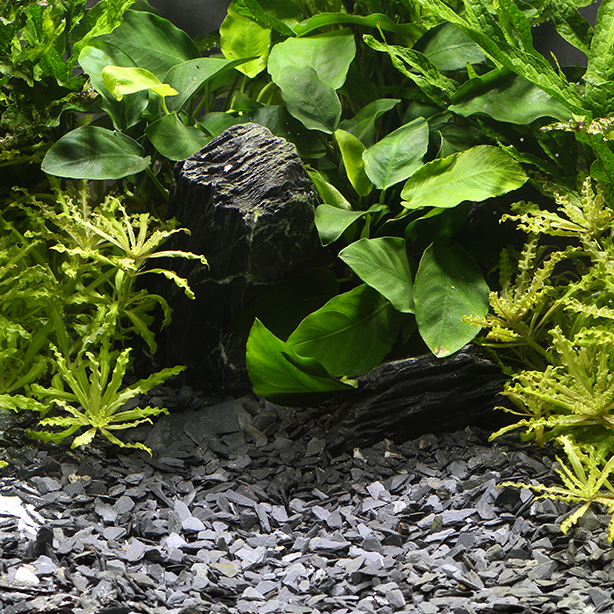 Dennerle Kongo 3-8 мм - грунт природный  (серый), 500 г Den-3245 - фото 30894