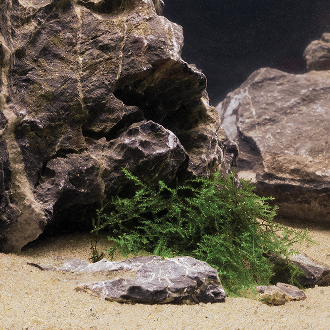 Dennerle Mekong 0,1-1,4 мм - грунт природный  (белый), 500 г Den-3247 - фото 30900