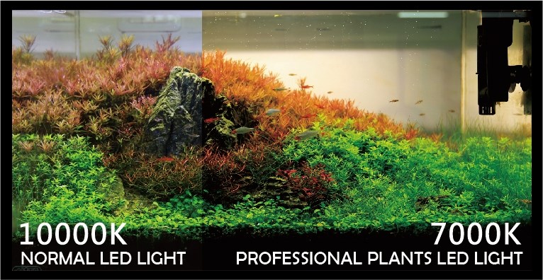 ISTA Светильник LED для растений профессиональный, 150см, 93,1Вт IL-404 - фото 31219