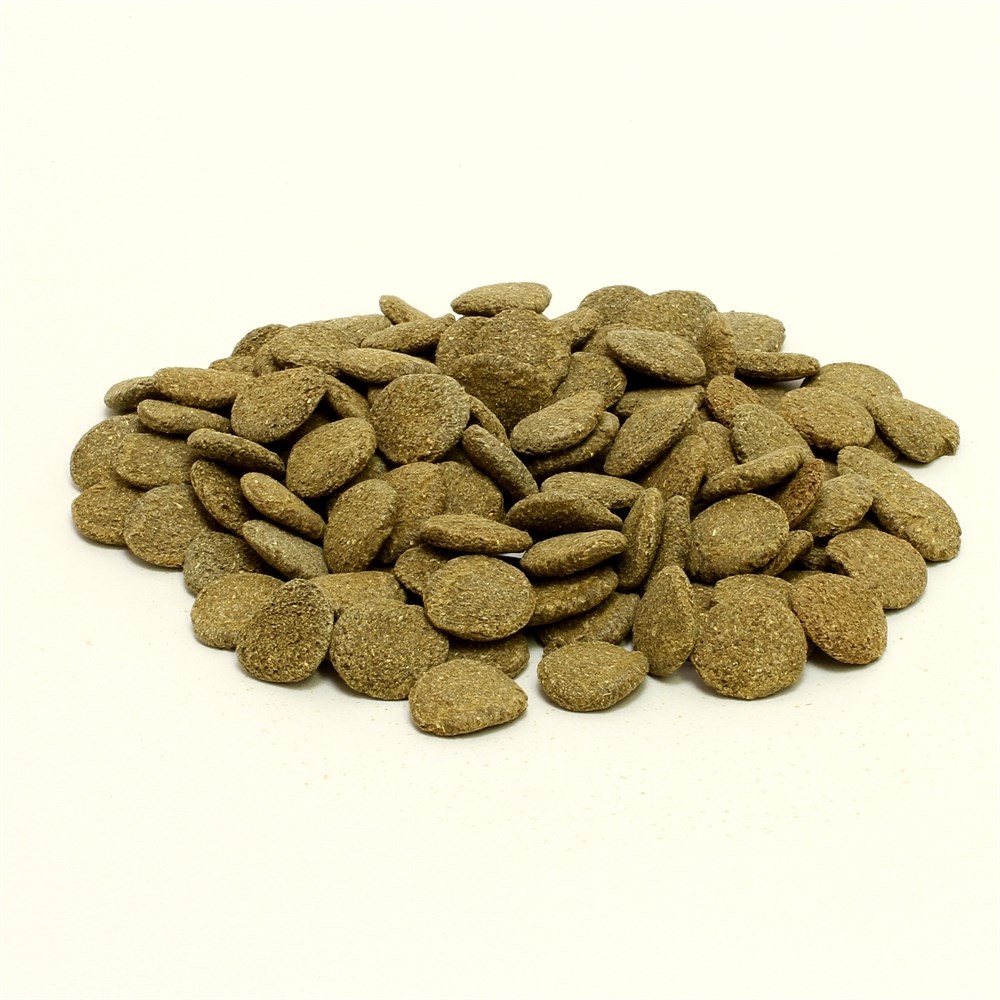 JBL NovoPleco XL 5,5 л. (2750 г.) - Водорослевые чипсы экстра-большого размера с примесью целлюлозы для кольчужных сомов 282.3034300 - фото 31231