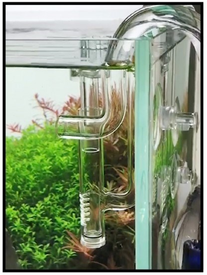 ISTA Мини скиммер из стекла для сбора бактериальной пленки для внешних фильтров IF-516 - фото 31495