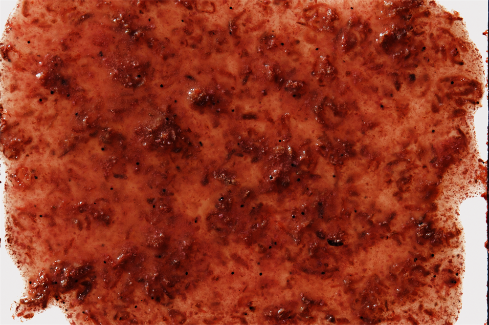 Tetra Fresh Delica Krill - криль 48 г - корм-лакомство для рыб Tet-236707 - фото 31989