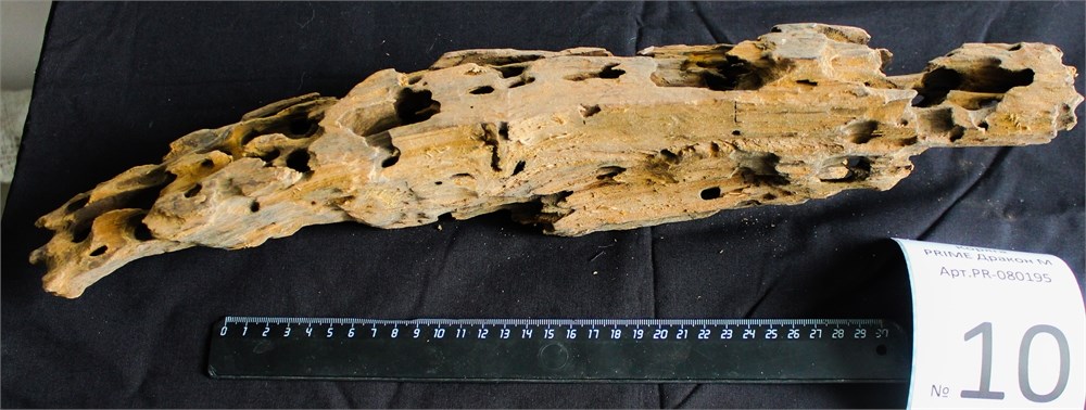 Коряга-эксклюзив Дракон M №10 - на фото актуальная коряга, существует в единственном экземпляре PR-080195-10 - фото 33472