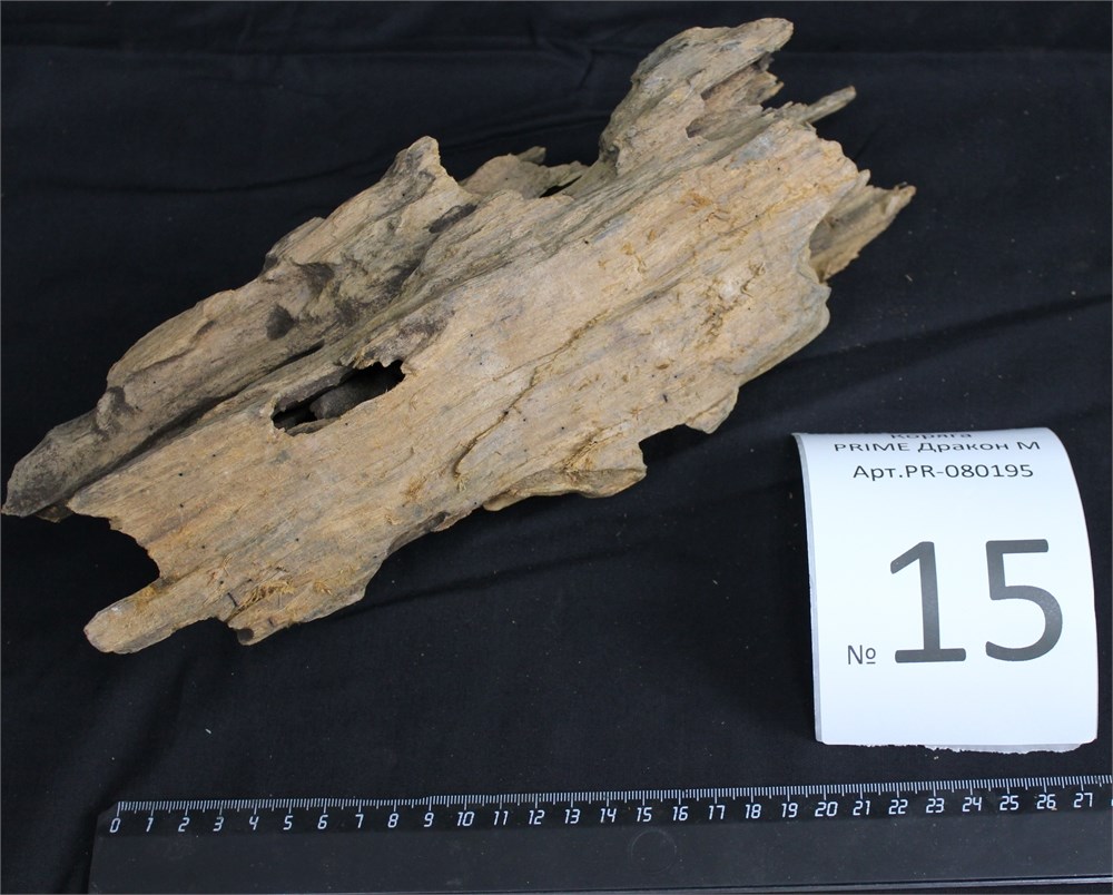 Коряга-эксклюзив Дракон M №15 - на фото актуальная коряга, существует в единственном экземпляре PR-080195-15 - фото 33489
