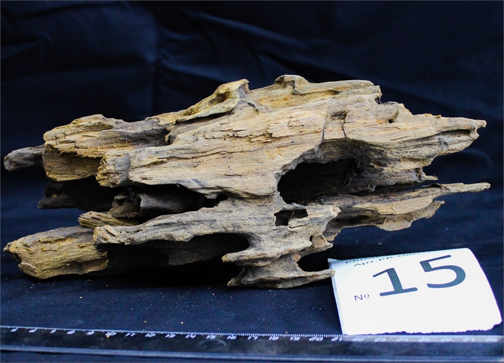 Коряга-эксклюзив Дракон M №15 - на фото актуальная коряга, существует в единственном экземпляре PR-080195-15 - фото 33490