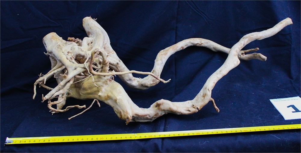 Коряга-эксклюзив Сакура (40-60 см) M №1 - на фото актуальная коряга, существует в единственном экземпляре PR-222490-1 - фото 33535