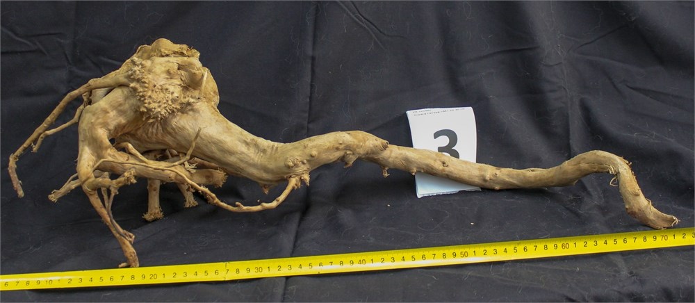 Коряга-эксклюзив Сакура (40-60 см) M №3 - на фото актуальная коряга, существует в единственном экземпляре - на фото актуальная коряга, существует в единственном экземпляре PR-222490-3 - фото 33543