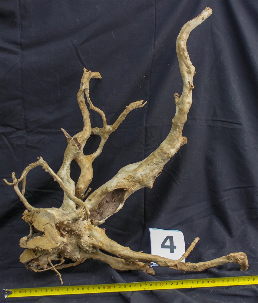 Коряга-эксклюзив Сакура (40-60 см) M №4 - на фото актуальная коряга, существует в единственном экземпляре PR-222490-4 - фото 33546